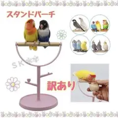 《訳あり》鳥用品 止まり木 トレー付き スタンド パーチ (ピンク)