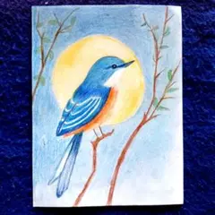 青い鳥　色鉛筆画　2Lサイズ