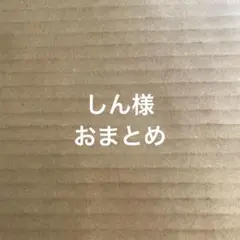 しん様 リクエスト 3点 まとめ商品