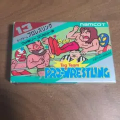 Tag Team Pro-Wrestling NPW-4500