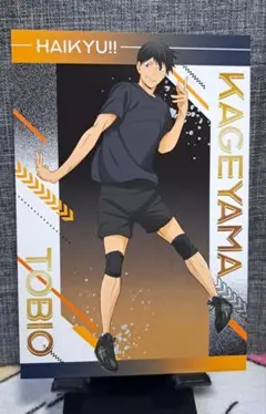 ハイキュー‼　影山飛雄
