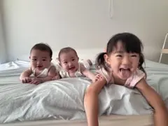 トールペイント　確認用