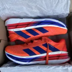 Item thumbnail for item 00eba57c-a281-42d5-84b5-3f870eb5fb0c