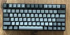 REALFORCE RC1 英字配列 45g C1HK11