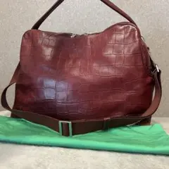 【美品】aniary アニアリ クロコ型押し 2way ショルダーバッグ 2層