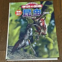 ニューワイド 学研の図鑑 昆虫