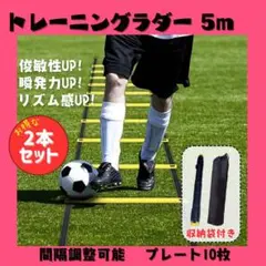 【新品未使用】トレーニングラダー 5メートル 10枚プレート付き 2個セット