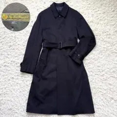 Item thumbnail for item 5dcb76c0-f565-4c74-bfe0-b09973e00bfc