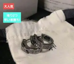 シルバーブラックピアス 両耳用（新品未使用）