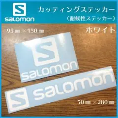 SALOMON◆サロモン ステッカー◆屋外耐候性タイプ スノボ貼りに!