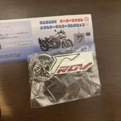 Item thumbnail for item 6bcbd015-52cb-4c7a-834c-19aed4755f53