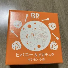 ポケモン ヒバニー & ピカチュウ 小皿