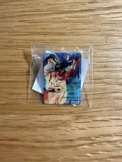 巨人2019年シーズン 購入者限定ランダムバッジ