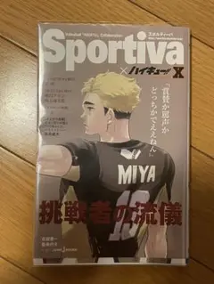 ハイキュー 宮侑 本