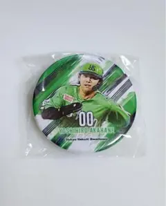 東京ヤクルトスワローズ 赤羽選手
