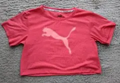 PUMA Tシャツ 130サイズ
