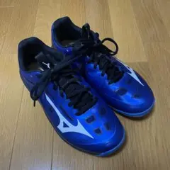 Item thumbnail for item 559e4a38-cfa4-4f64-b206-a242905f7bf5