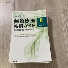 鍼灸療法技術ガイド I・II  2冊セット 図解鍼灸療法技術ガイド Ⅰ・Ⅱ 2冊セット 鍼灸治療 教科書