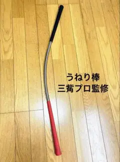 ツアープロスインガー　うねり棒 うねり棒】ゴルフ練習器具ツアープロスインガー！ゴルフスイング