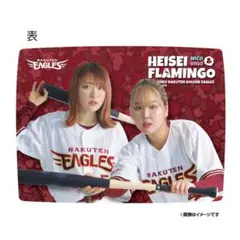 Item thumbnail for item ef502c36-fa4c-4f0e-a9c4-021a42ae6937