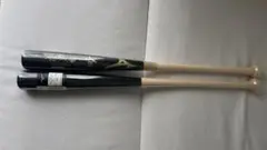 Item thumbnail for item a96bb699-082d-4bae-a6ff-76016dc51daa