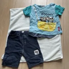 ZOOMIC 水色Tシャツとショートパンツセット 90cm
