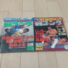 ウルティモ・ドラゴン(浅井嘉浩) ブルー系衣装 プロレスフィギュア【新品未開封】 Yahoo!オークション -「ウルティモ・ドラゴン」の落札相場・落札価格