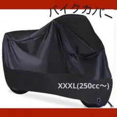 Item thumbnail for item 41779978-89aa-4e02-9ec8-420231858a30