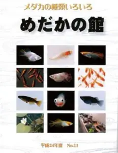 平成24年度版 メダカの種類いろいろ めだかの館カタログ