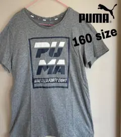 【美品】PUMA Tシャツ　デカロゴ