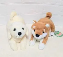 豆子犬　プレイバウスタイル♪　ぬいぐるみ　2種セット　20cm