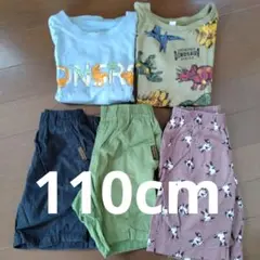 110cm 恐竜プリント Tシャツとハーフパンツ　５枚セット