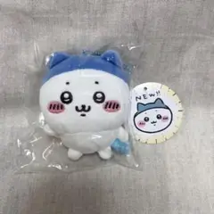 スポーツ刈り ハチワレ