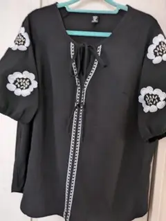 大きいサイズ刺繍入りブラウス