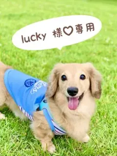 lucky プロフ読んでね(*´꒳`*)様♡専用