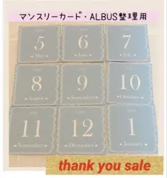 2508【即日発送】★大人気★マンスリーカード　月齢カード　アルバス　整理用