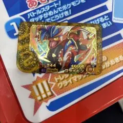 ポケモンフレンダ　コライドン レガシーピック