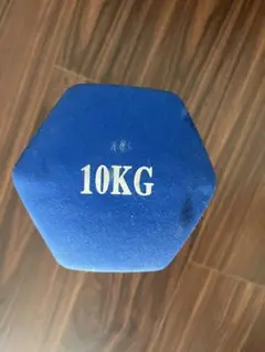 10KG 青 ヘックスダンベル　２個