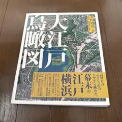 大江戸鳥瞰図