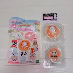 シルバニア　くじ