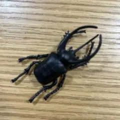 アトラスオオカブト　フィギュア　黒　リアル　昆虫　虫好き　昆虫採集　コガネムシ科