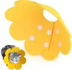 Item thumbnail for item 93700a7f-d684-4714-8ad4-16304548784e