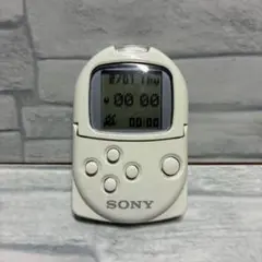 PocketStation