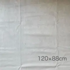 Item thumbnail for item 5d40abc6-e7fb-4923-ae4d-d867d94848da