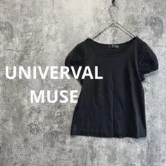 a4185【UNIVERVAL MUSE】半袖カットソー 袖シアー