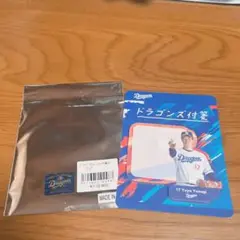 ドラゴンズ　シークレット付箋　柳裕也　17