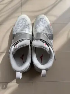 Item thumbnail for item b86e9b13-fc34-4142-981c-f99b0403a848