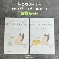 ♡コウノトリ♡2枚セットジェンダーリビールカード　スクラッチ式