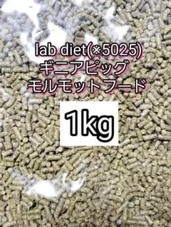 Item thumbnail for item 6a2c0874-93b0-4a3d-a028-d9711ee868f2