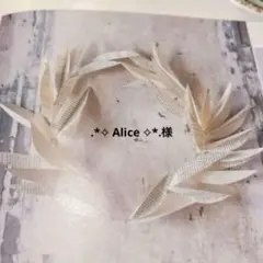 .*⁠✧⁠ Alice ✧⁠*.様